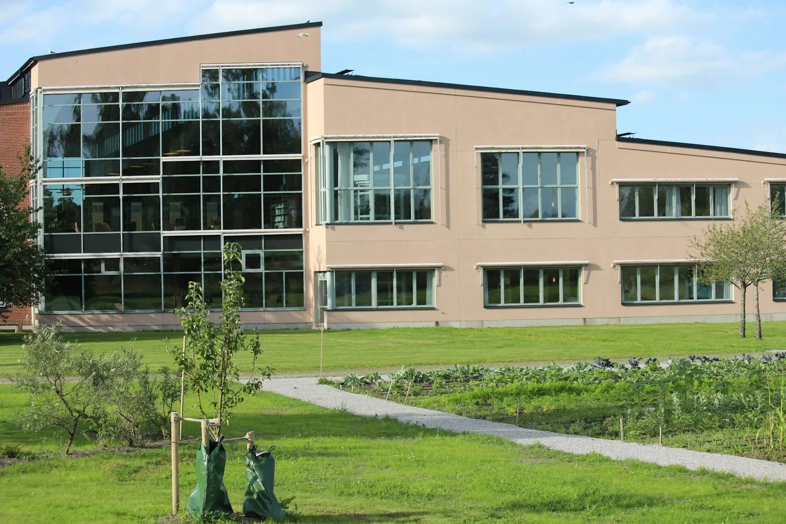 colegios suba